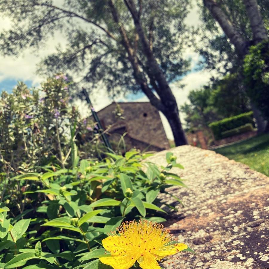Podere La Chiusella B&B Rapolano Terme Exteriér fotografie